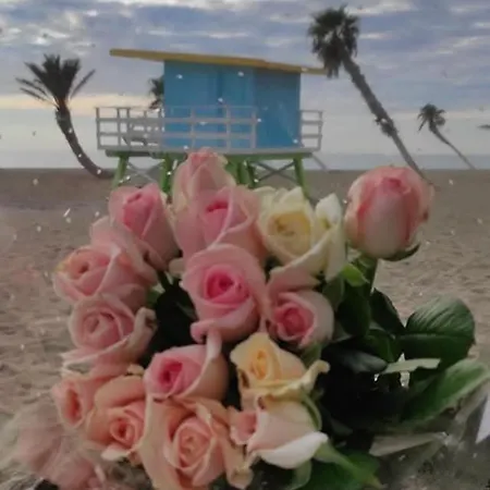 Casa De La Playa, 3mn A Pieds Des Plages,wifi,animaux Admis Apartment