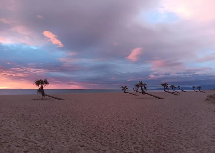 شقة Casa De La Playa,mer 100m, Parking,animaux,clim,wifi Le Barcarès